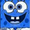 bluchoo