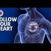 WATP-FOREVER